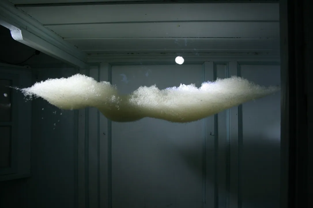 Arbeit aus der Installation „Concours d’oiseaux“ von Andre Willi, Bild 3 von 3